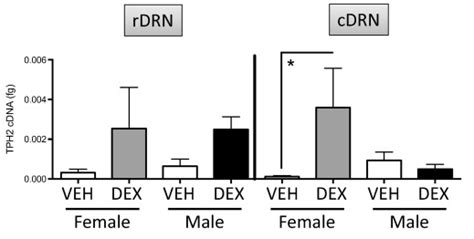 Sex Dependent Programming Effects Of Prenatal Glucocorticoid Treatment On The Developing