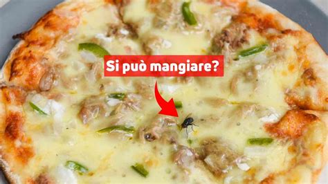 Possiamo Mangiare I Cibi In Cui Si Appoggiata Una Mosca Parola Agli