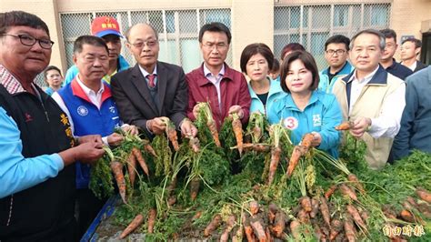 農委會主委認證台南胡蘿蔔災損嚴重 農民可望獲現金救助 生活 自由時報電子報