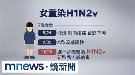 國內再傳第二例！ 7歲女童染豬流感「h1n2v」｜鏡新聞 Youtube