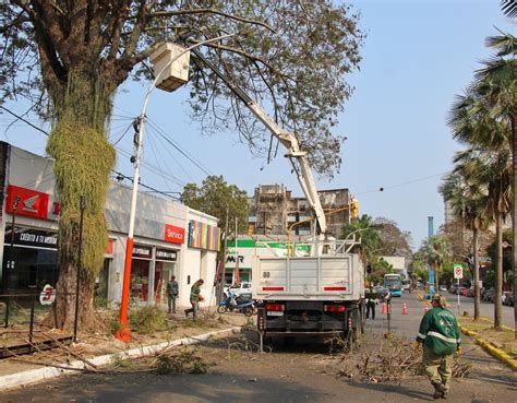 DESPEJE DE RAMAS Y BARRIDO MANUAL EJECUTA EL MUNICIPIO EN LA AVENIDA 25