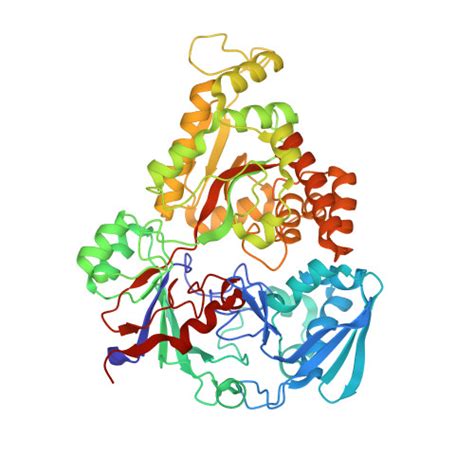 Rcsb Pdb Pfy Crystal Structure Of Mannohexaose Bound Oligopeptide