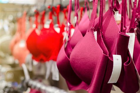 Quer montar uma confecção de lingerie Descubra agora por onde começar Modelle Bojos