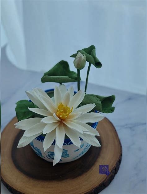 Water Lily Cake Decorated Cake By Ms V Cakesdecor