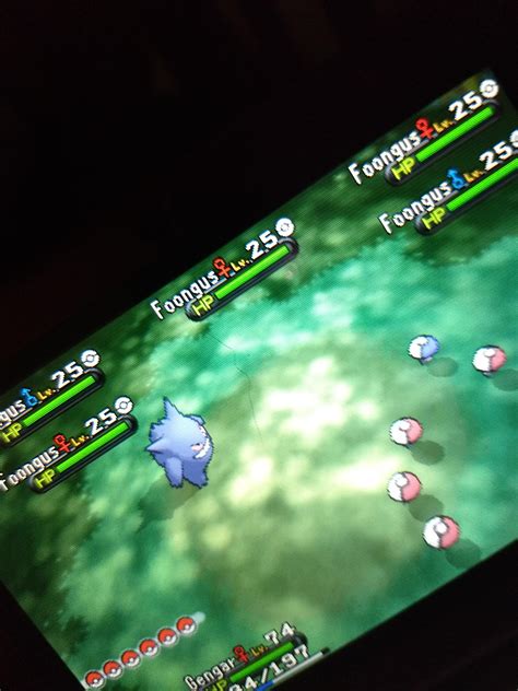 [6] 137 Hordes Shiny Foongus : r/ShinyPokemon