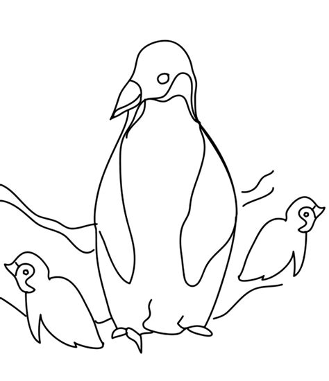 Desenho 8 De Pinguins Para Colorir