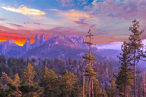 The Sun Is Setting In The Mountains With Pine Trees On The Foreground