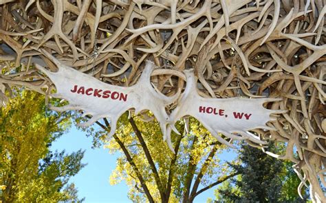 About Jackson Hole Tom Evans Ashley DiPrisco Real Estate