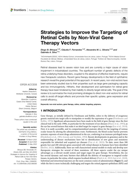 Pdf Strategies To Improve The Targeting Of Retinal Cells By Non Viral Gene Therapy Vectors