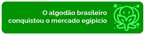 Qualidade Conformidade Inovação Segurança E Abertura De Mercados