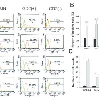 FACS And QRT PCR Analysis Of The Expression Of SSEA 4 Oct 4 Sox 2 And