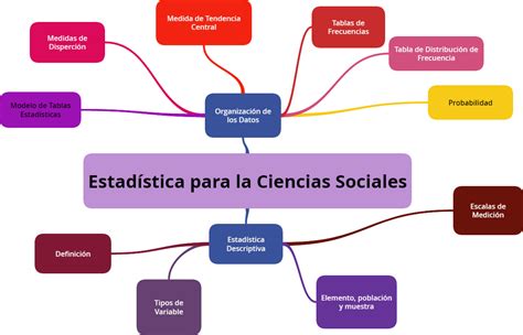 Estadistica Organizador