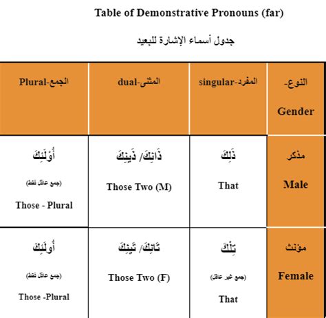 Chapter 4 Demonstrative Pronouns Far That Those Diagram Quizlet