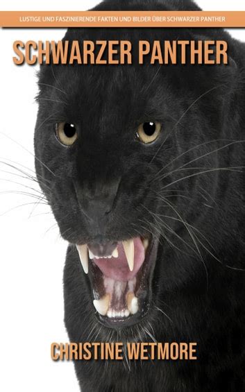 Schwarzer Panther Lustige Und Faszinierende Fakten Und Bilder Ber