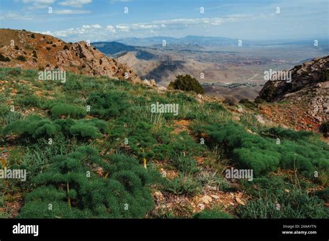 Hiking in Vayots Dzor, known for its red-hued mountains, Armenia (Hayastan), Caucasus, Central ...