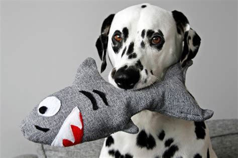 7 Diy Sewing Projects For Dogs