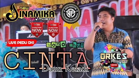 New Dinamika Music Cinta Daun Keladi Mono Dhut Pedu OKI Orkes