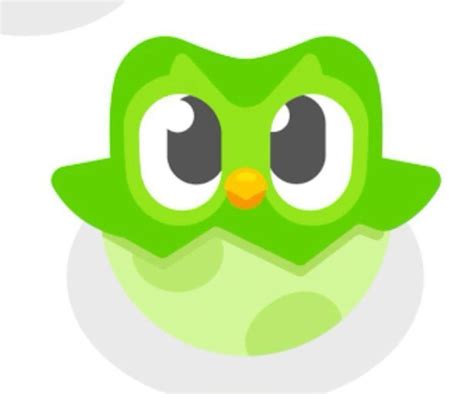 Pin on duo in 2024 | Cute drawings, Duolingo, Mini drawings