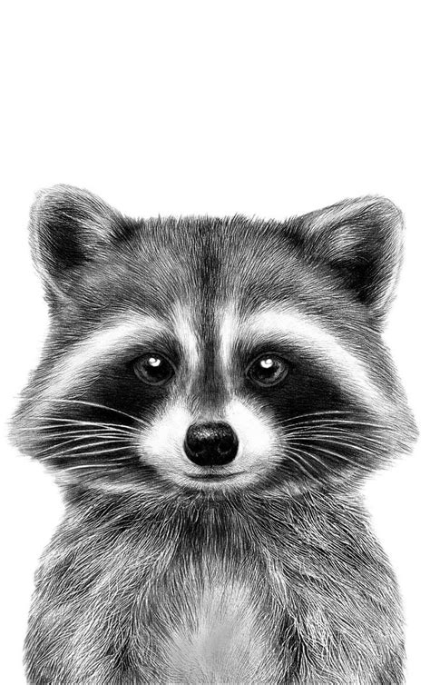 Pin By Justine Cook On Boredpanda In 2024 Pencil Drawings Of Animals