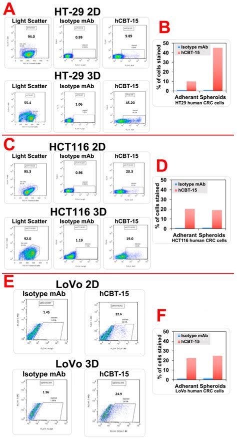 Doublecortin Like Kinase 1 Dclk1 Surface Expression In Human