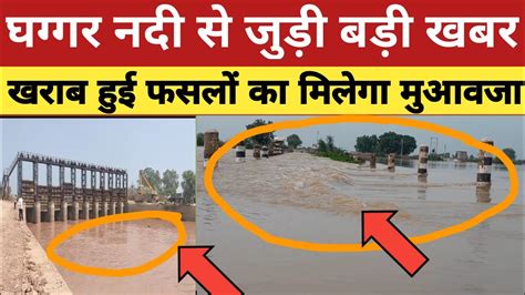 हनुमानगढ़ घग्गर बाढ़ में आई फसलों का मिलेगा मुआवजा । Hanumangarh Ghaggar Nadi ।ghaggar Flood