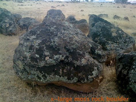 moss rock quality rock