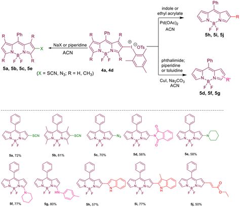 Bodipy Aryl Iodonium Salts In The Efficient Synthesis Of Diversely