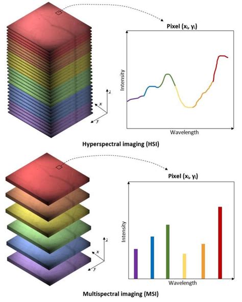 7 Difference Between Hyperspectral Top And Multispectral Bottom Download Scientific