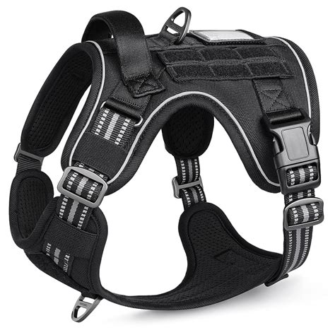 11 Best Dog Harnesses with Handles