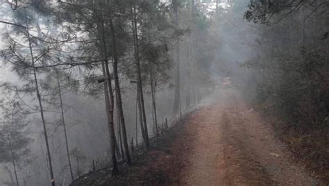 ¿qué Pasa En Hidalgo Tamaulipas Incendio Forestal Consume Cientos De Hectáreas Y Ya Lo