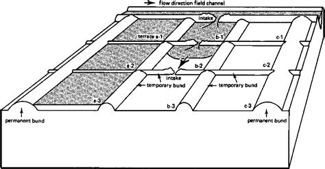 Aggregate more than 129 ring basin irrigation method latest ...