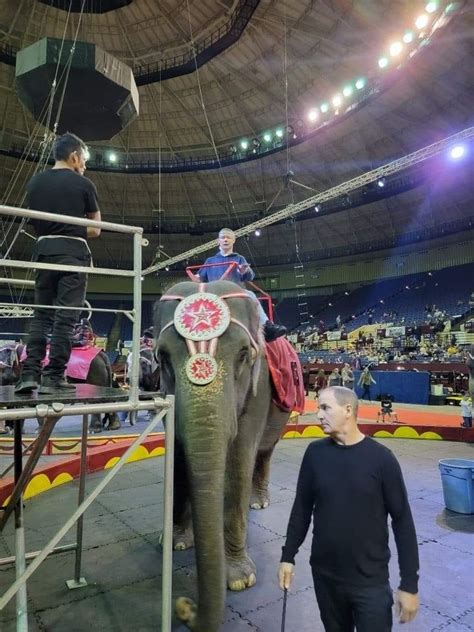 Fort Worth Moslah Shrine Circus Fort Worth Convention Center