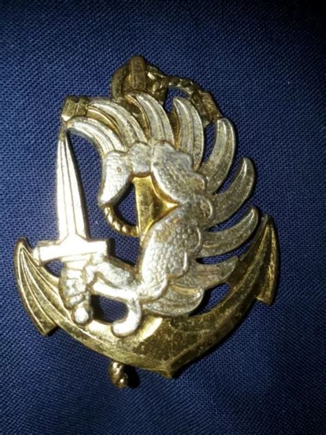 Insigne B Ret Rpima Militaire Infanterie De Marine Tdm Para Coloniale