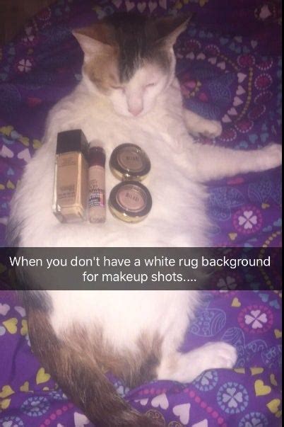 Makeup Cat Meme Saubhaya Makeup