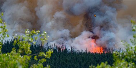 Worklife Wildfire Smoke Requires Urgent Action From East Coast