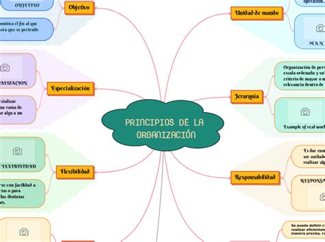 Principios De La Organizaci N Mind Map