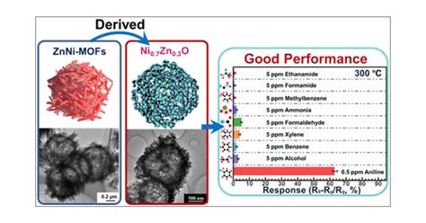 Metalorganic Framework Derived Hierarchical Nanostructured Ni Zn O