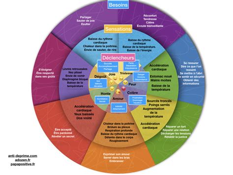 La roue des 7 émotions un outil pour relier les émotions aux besoins