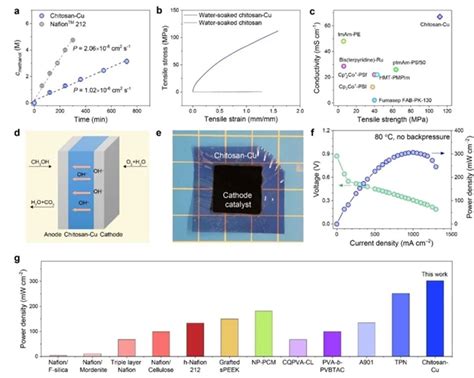 变废为宝！马里兰大学实现羟基离子交换膜新突破—论文—科学网