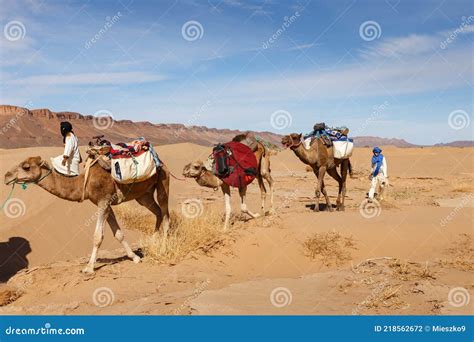 Camel Caravan In The Sahara Desert Editorial Photography Image Of