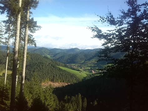 Laufen Gutach Hornberg Runde Mit Sch Nen Aussichten Und