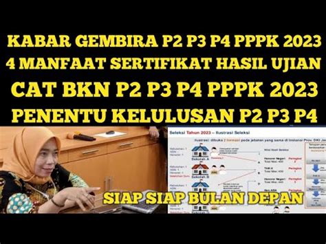 KABAR GEMBIRA INI 4 MANFAAT SERTIFIKAT HASIL UJIAN CAT BKN P2 P3 P4