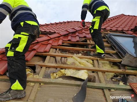 Kuna Na Poddaszu Dachu Wdmuchiwanie Celulozy Termowizja Katowice