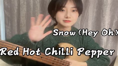 贝斯也能扫弦又是红辣椒Snow Red Hot Chilli Pepper YouTube