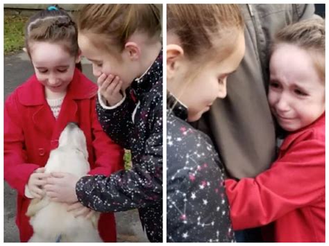 Le Ragazze Con Il Cuore Spezzato Pensavano Che Il Cane Del Rifugio Di