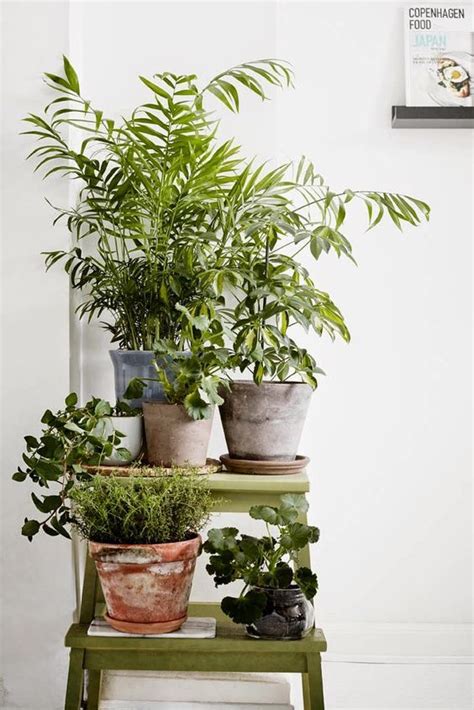 Botanische Stijl X Planten Inspiratie Makeover Nl Plant Decor