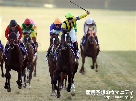 ラティツィア競走馬2019年産 成績｜地方競馬予想のウマニティ