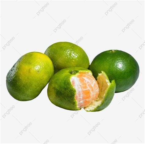 Delicious Clipart Png Images Four Fresh Delicious Oranges Four Fresh