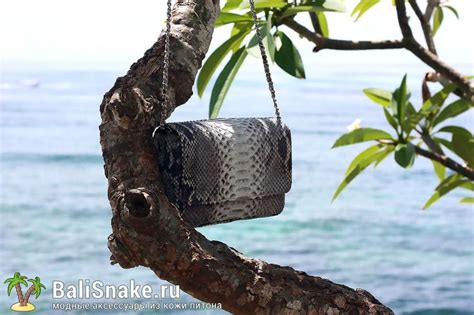 Миди на магните от BaliSnake.ru. Цена: 4'300 рублей. 📲 По всем вопросам ...