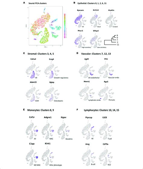 A Pca Clusters Generated From The Cells Of All Three Mucosal Download Scientific Diagram